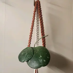 Red and White Flat-Style Macrame Plant Hanger with Gold Ring for 2 Inch Pots - Decorative Home Accessory