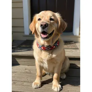 Epic Padded Leather Dog Collar with Beaded Design H