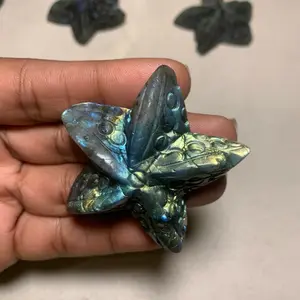 Natural Labradorite Crystal Sea Stars