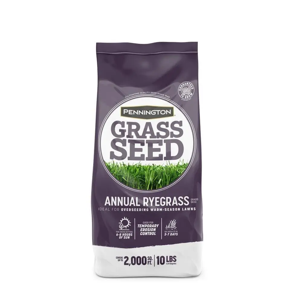 Annual Ryegrass 10 lb. 2,000 sq. ft. Grass Seed Annual Ryegrass 10 lb. 2,000 sq. ft. Grass Seed
