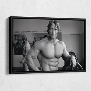 Arnold Schwarzenegger Poster Bodybuilding Wall Poster | No Framed
