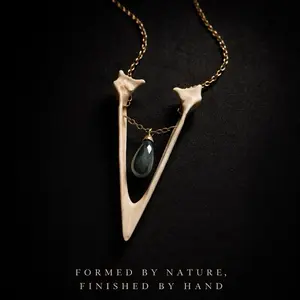 Real Jawbone Avian Relic Necklace with Labradorite Stone and Gold Chain