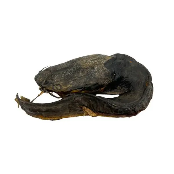 Eja Oro