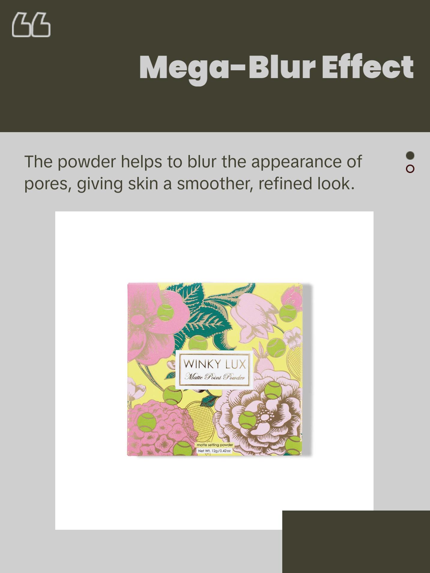 Matte Point Setting Powder