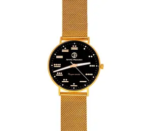 Mayan Gentleman's 5 ATM All Stainless Steel Japan Quartz Watch Gold Case Black Dial