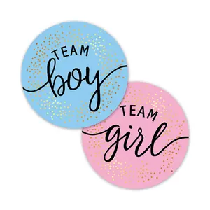 60/120count Team Boy Team Girl Stickers Boy or Girl Sticker for Gender Reveal Party Decoration Baby Shower Supplies Gift Box Label