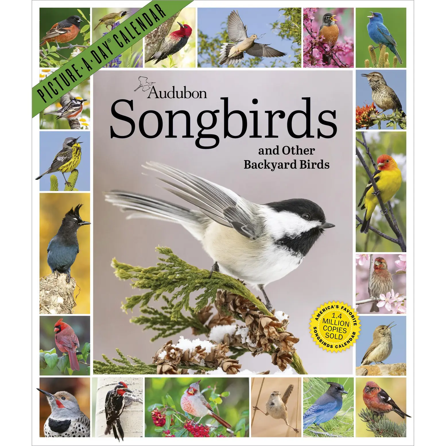 Audubon Songbirds and Other Backyard Birds Picture-A-Day® Wall Calendar 2027 by National Audubon Society, Workman Calendars
