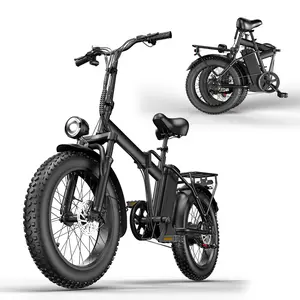 Electric Folding Bicycle with 1500W Peak Power 48V Removable Battery Dual Seats LED Headlight 20-Inch All-Terrain Wide Tires High-Carbon Steel Structure SpringStatements