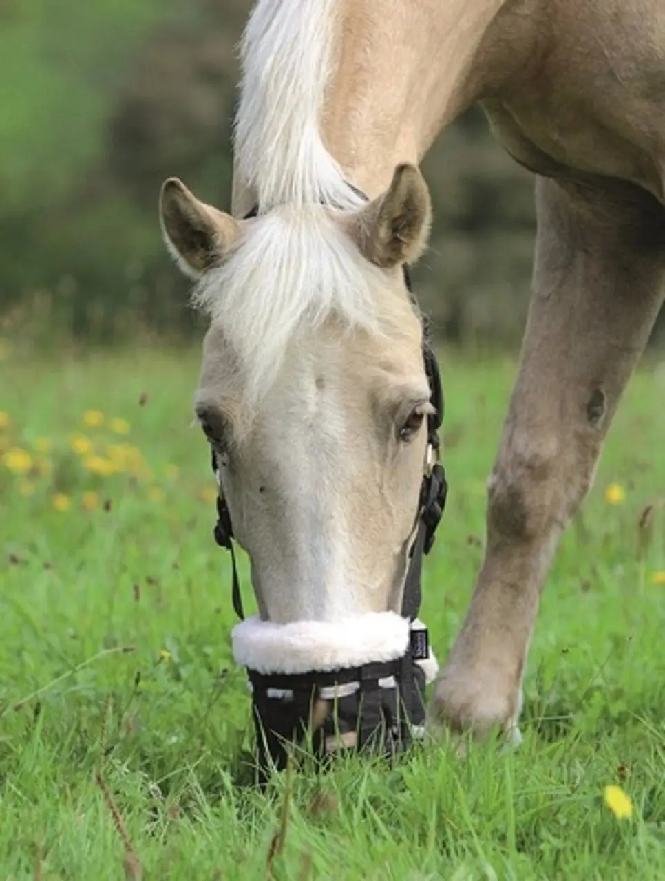 Shires Deluxe Fleece Lined Grazing Muzzle - Comfort Padded Horse Grass Intake Control - Multiple Sizes Cob