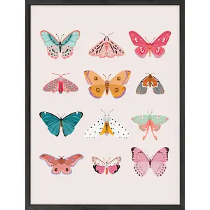 Butterfly Collage Poster - Artistic Wall Decor Print for Room Aesthetic and Vibe
