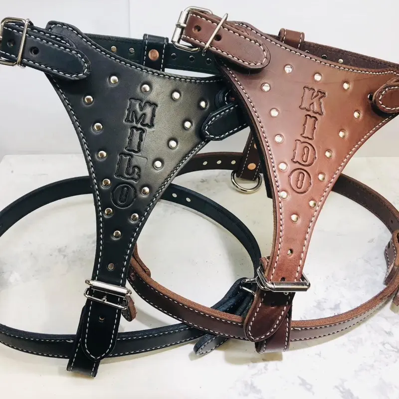 Dog Harness's