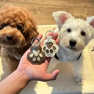 1/3/5/9 Counts Cat and dog hair keychain, Creative Pet Hanging Ornament, for pet owners to collect and commemorate, Dog & Cat Paw Design, Durable Memorial Keepsake, Key Organizer Bag, for Souvenirs, Pet Owner Gifts