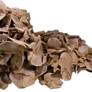 Lela’s GemStoneZ Desert Rose House of Jericho Seal Piece - Luxury Protection Grounding Rebirth Energy Certified Natural Gypsum Formation