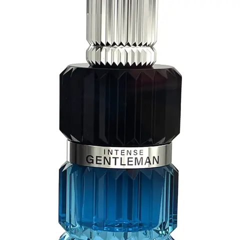 Mirada Intense Gentleman Eau De Perfume 3.4 For Men