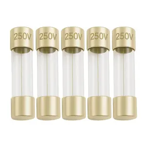 500mA 0.5A GMA Glass Fuses 5x20mm 250V Fast-Blow Fast Acting Fuses for Electronics Appliances and Circuit Protection 5 Pack