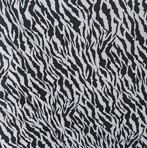 Safari zebra Print