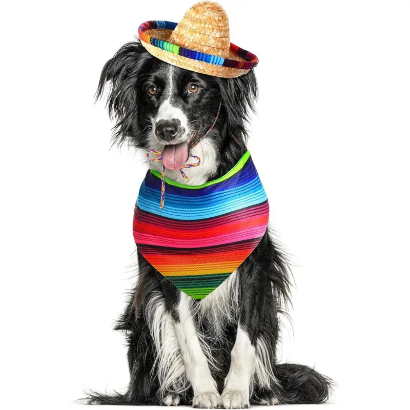 21cm medium-sized dog hat