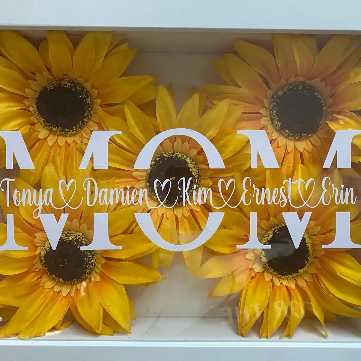 Shadow boxes