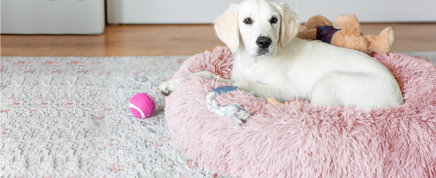 JOLLYVOGUE Small Dog Bed, Calming Soft Anti-Anxiety Donut Cat Bed, Washable Round Fluffy Cushion for Small and Medium Pets (20")