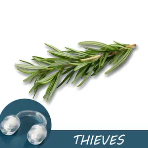 Thieves Essential Oil Nasal Inhaler