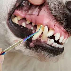 Stainless Steel Pet Teeth Cleaning Tool - Ideal for Dogs and Cats, Professional Dental Hygiene Device with Flexible Handle and Multiple Angles for Thorough Cleaning, Pet Dental Hygiene |   Flexible Dental Tool |   Durable Construction, Pet Grooming Suppli