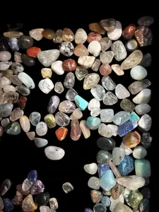 Mystery Bag of Crystals (Tumbled)