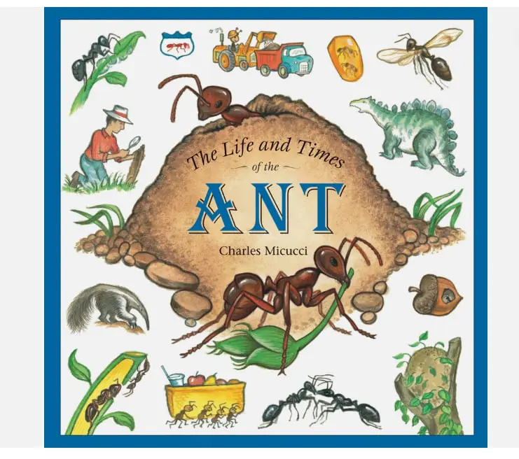 The Life and Times of the Ant - Paperback By Micucci, Charles