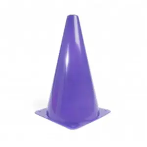 Everrich  15 in. Height Plastic Cones - Purple