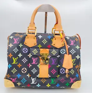 Pre-owned Louis Vuitton RL Black Murakami Speedy30 21515726