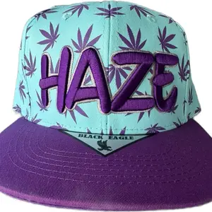 Snapback Hat, Blue Design with Purple Haze Accent