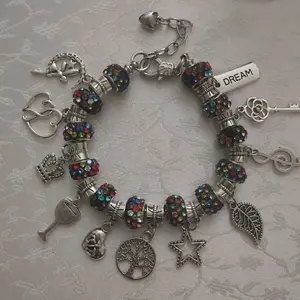 Loaded Charm Bracelet with Colorful Beads, Silver Center Pieces, and Decorative Charms