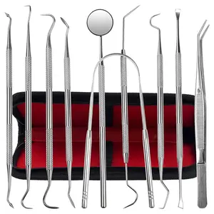 Dental Kit Tools, 10 Pack Stainless Steel Plaque Remover, Dental Tools to Remove Plaque and Tartar, Oral Care Kit with Plaque Cleaner, Tartar Pick, Tooth & Tongue Scraper for Dentist, Personal, Family