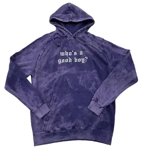 Embroidered Who's A Good Boy Vintage Embroidered Hoodie, Gamer Sweatshirt, Gift for Him, Alt Fashion, Streetwear Casual Pullover Sweatshirts Embroidery Everyday Unisex