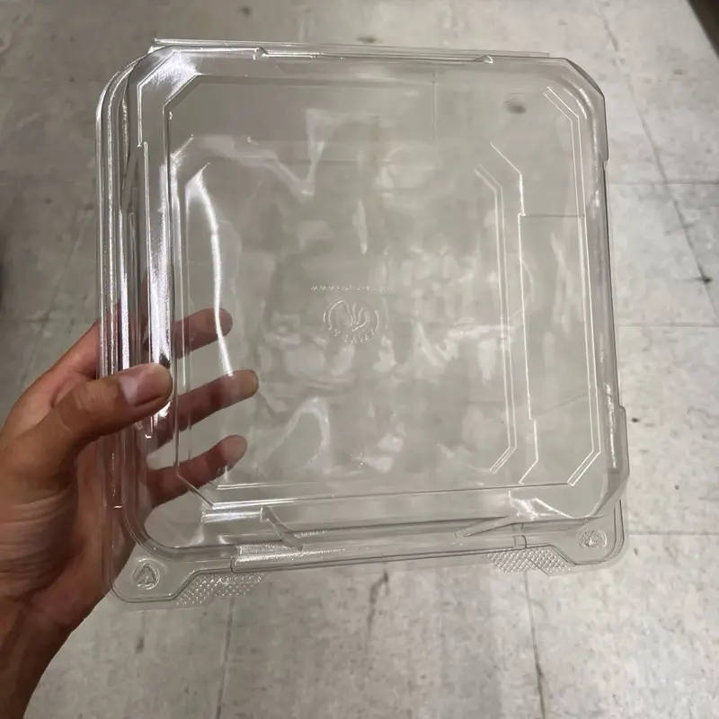 12 Pack - 8” Square Dessert container