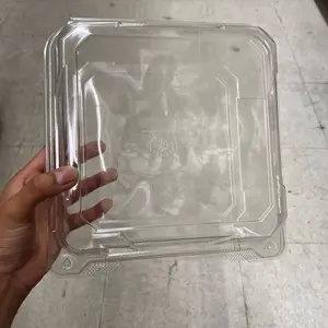 12 Pack - 8” Square Dessert container