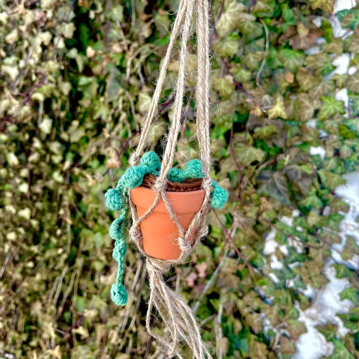 Crochet hanging succulent plant