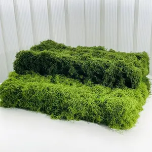 19.7×39.37inch Sustainable Nylon Artificial Moss Mat, Multipurpose Decor for Indoor Outdoor Wall & Table, Ideal for Christmas & Micro Landscape Making decor Greenery Decorative Nature flores amarillas artificial flowers for outside flower bouquets outdoor