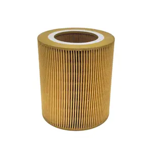 1613872000 Air Filter Compatible and Suitable Air Compressor Replacement Air Filter Substitute Spare Parts 89295976 C1250