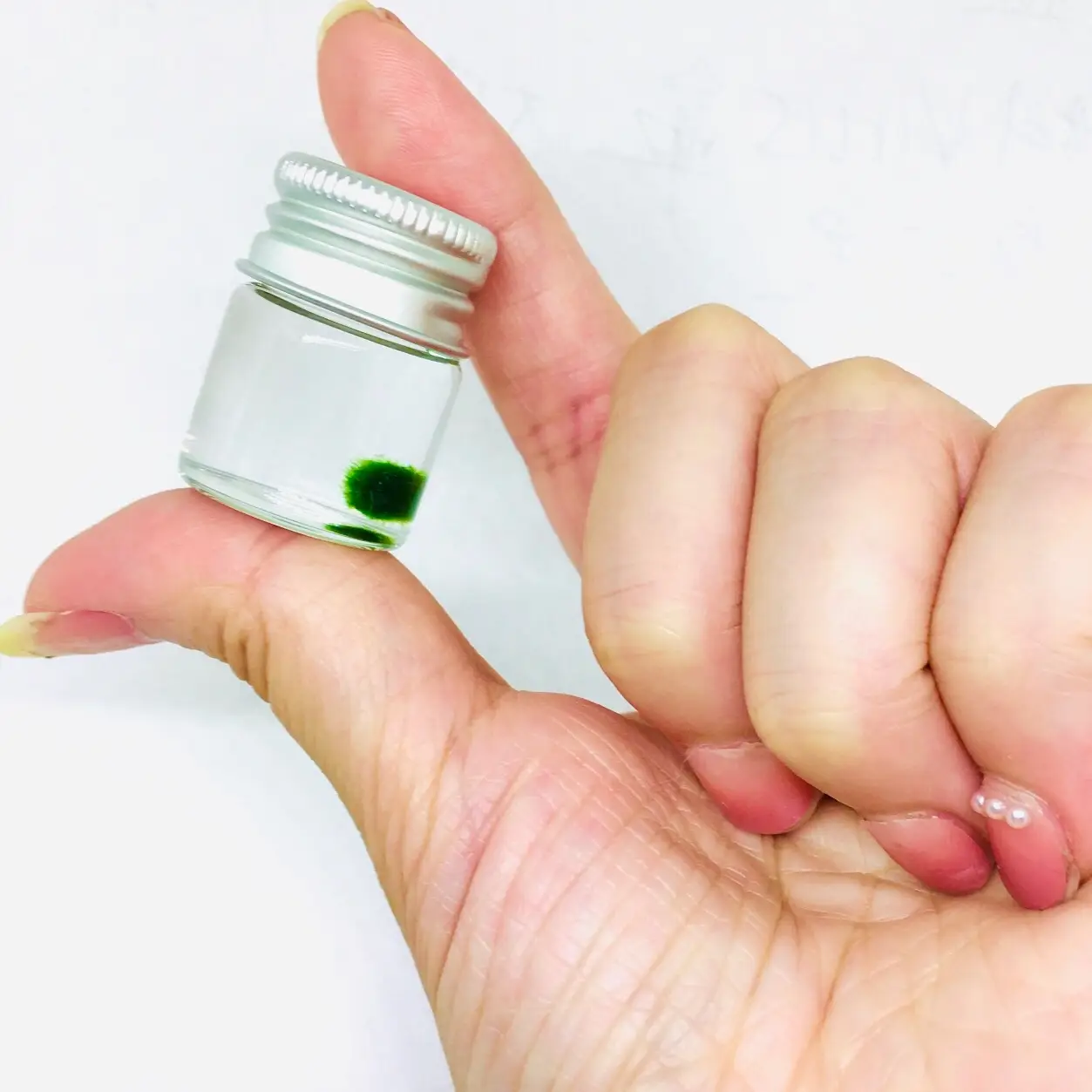 Live Marimo Moss Ball Super Mini Plant Bottle Jar Gift For Kids Instruction included Decor Decorative Ornaments pebbles aquarium plants aquascape tank