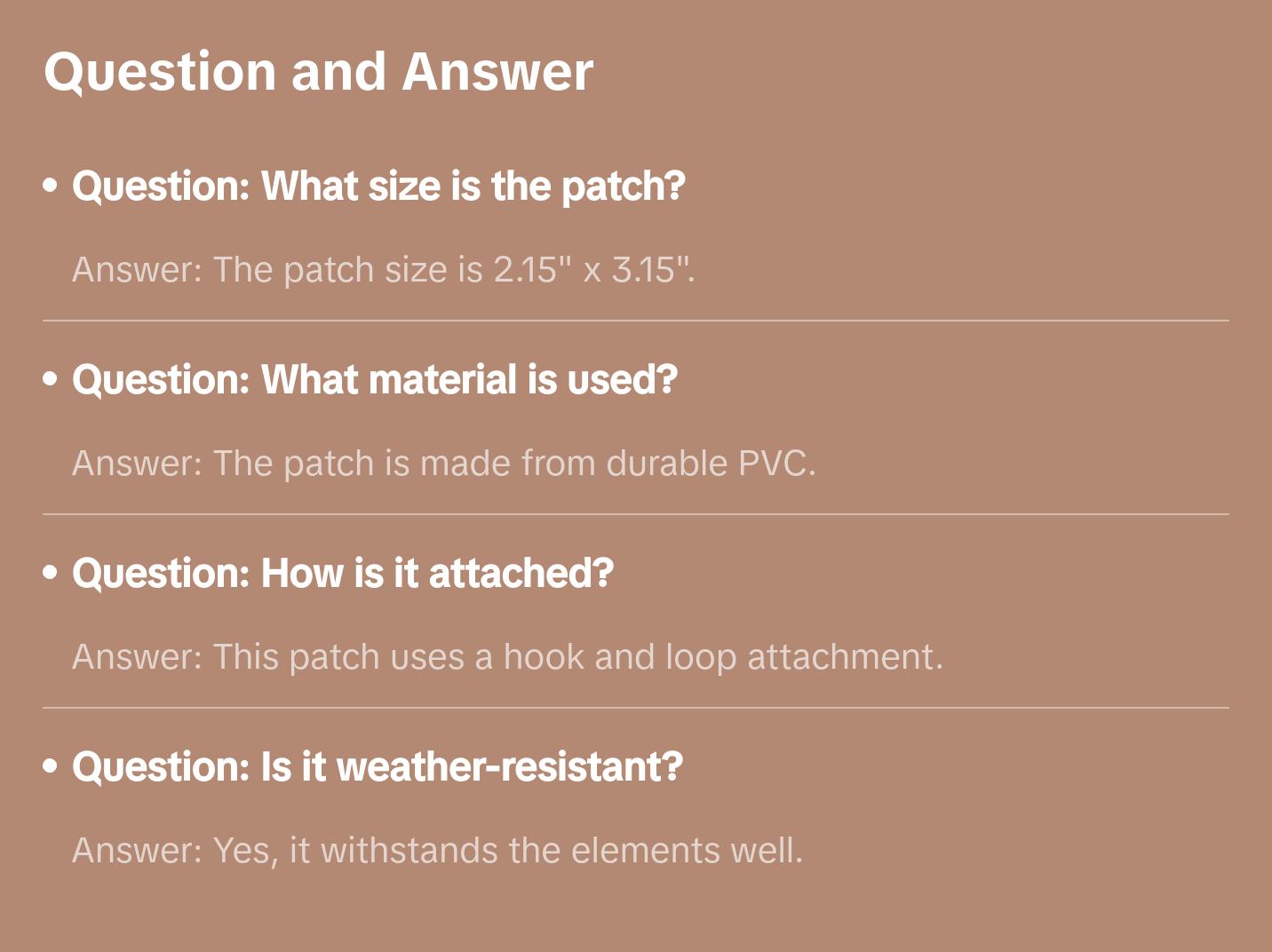 Tactical Raccoon PVC Patch