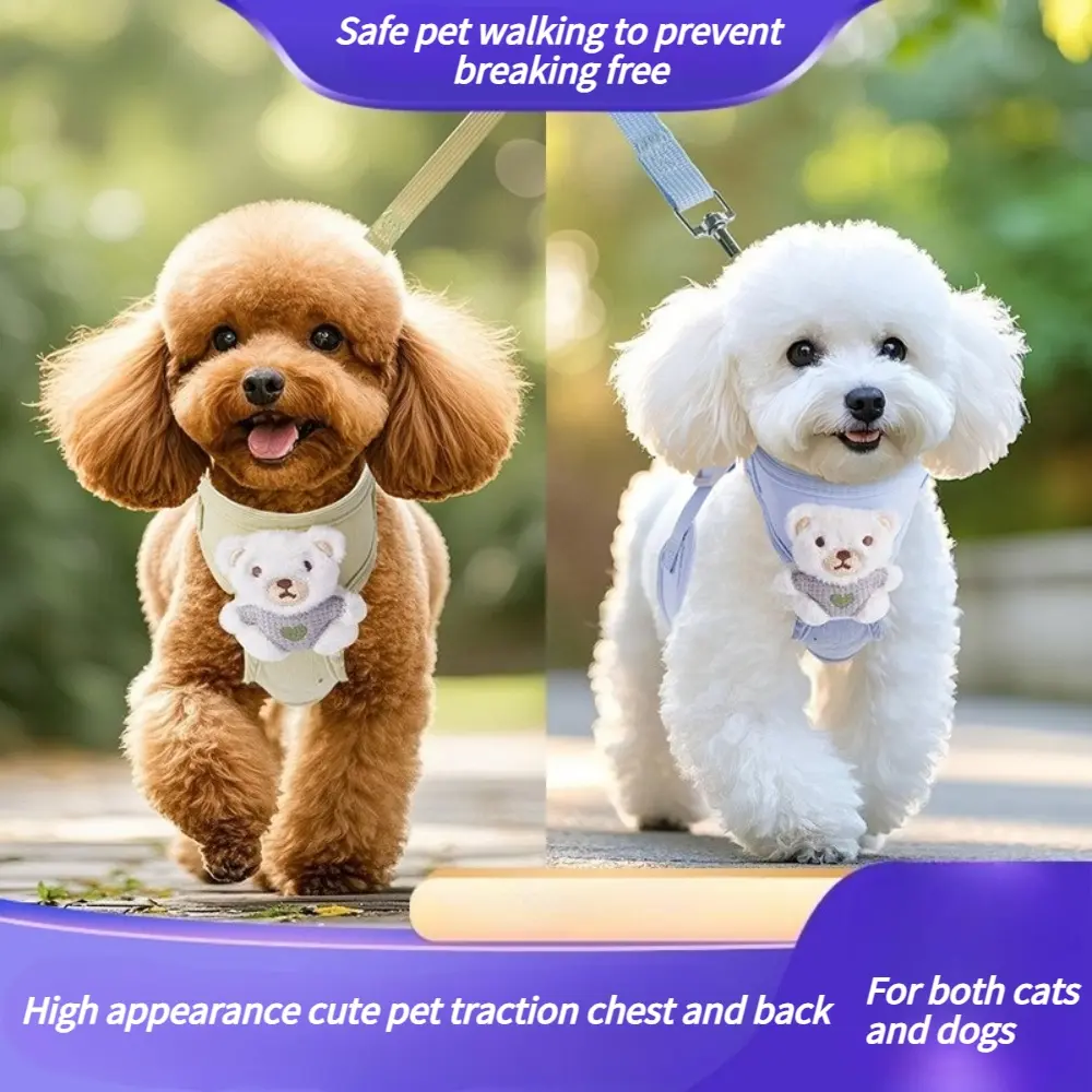 Bear Harness and Leash Set for Small Dogs Cats, Cute Breathable Mesh Vest Harness, No-Pull Comfortable Pet Harness for Walking, Adjustable Puppy Kitten Harness