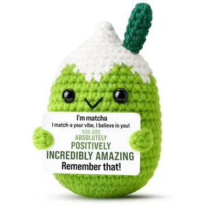 Matcha Crochet Doll Gift Set, Includes Positive Energy Card, Perfect Birthday Present for Her, Teens, Friends, Colleagues, Christmas Stocking Filler, Crochet Figure