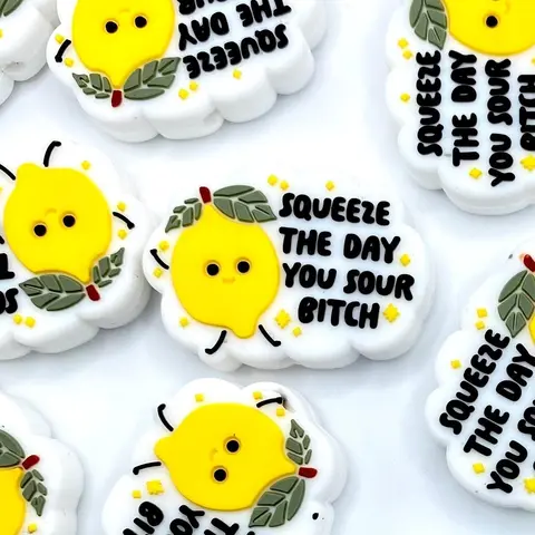 1pc Squeeze The Day You Sour B*tch Silicone Focal Beads | Funny Humor Colorful Beaded Pen DIY