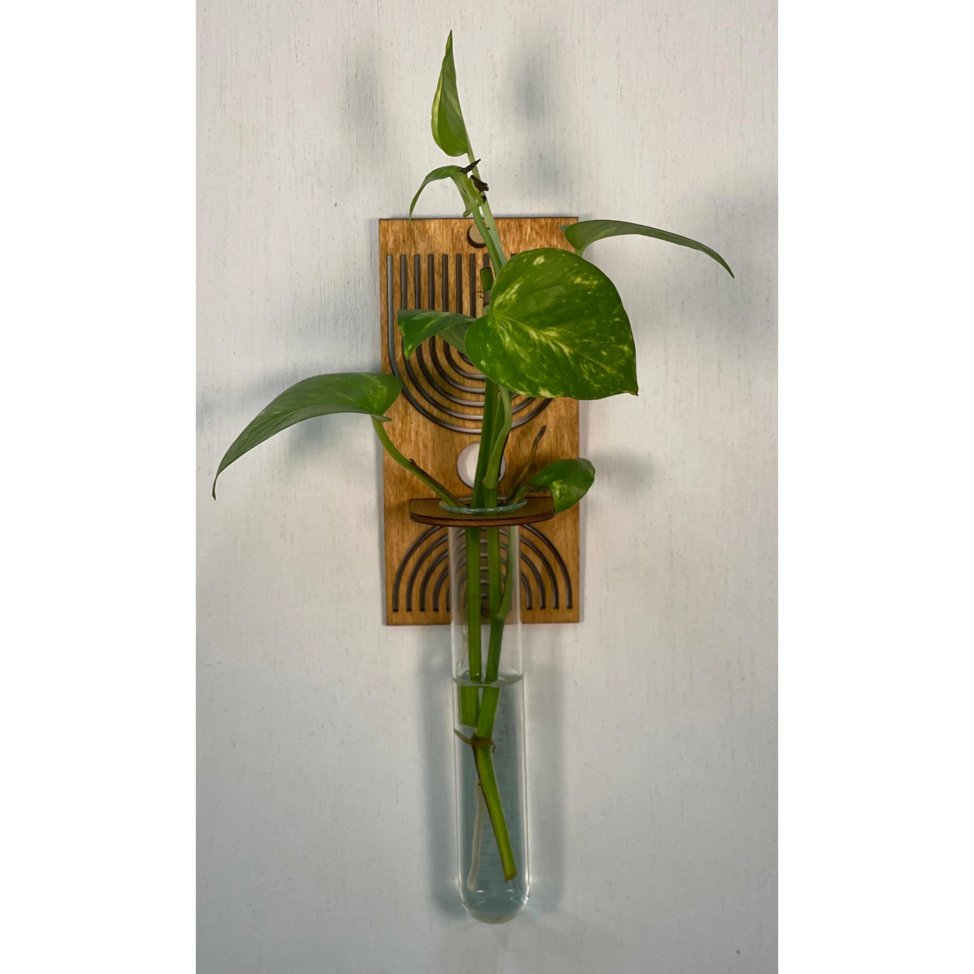 Rectangle Boho Propagation Vase