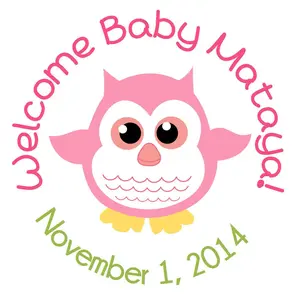 Baby Girl Pink Owl - Personalized Party Sticker Labels