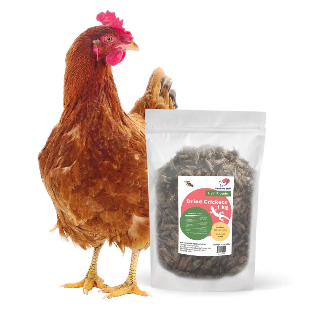High-Protein Dried Crickets – Natural Insect Food for Reptiles & Birds (1 kg)