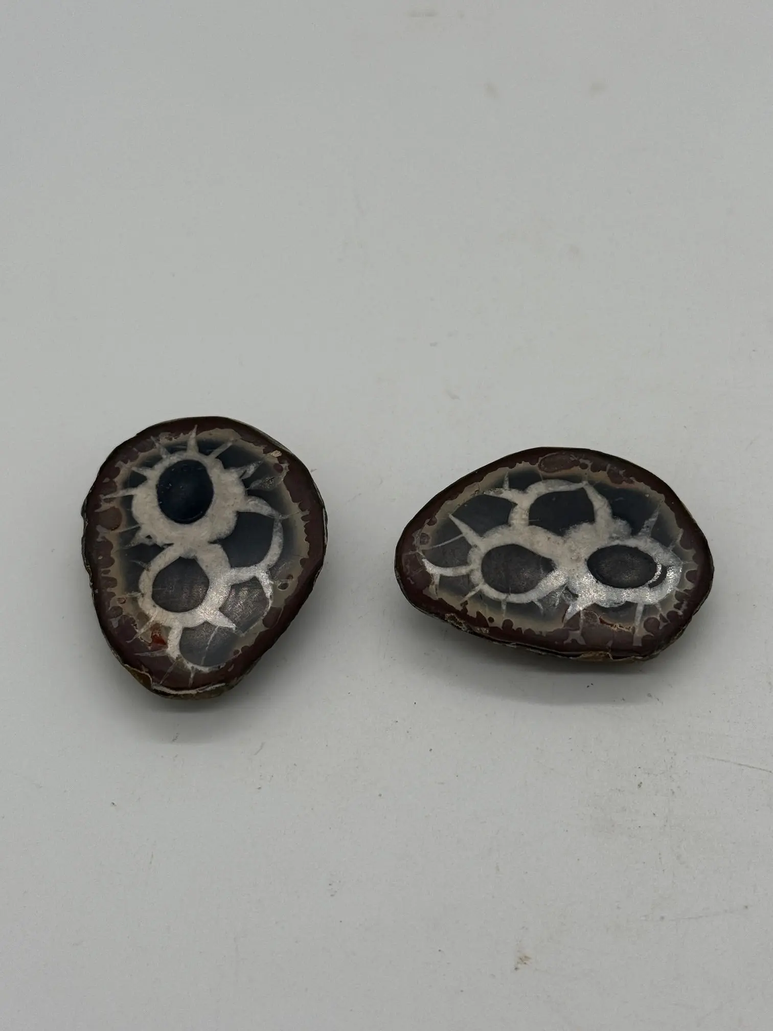 POLISHED SEPTARIAN NODULE HALVES #3 NATURAL CRYSTAL