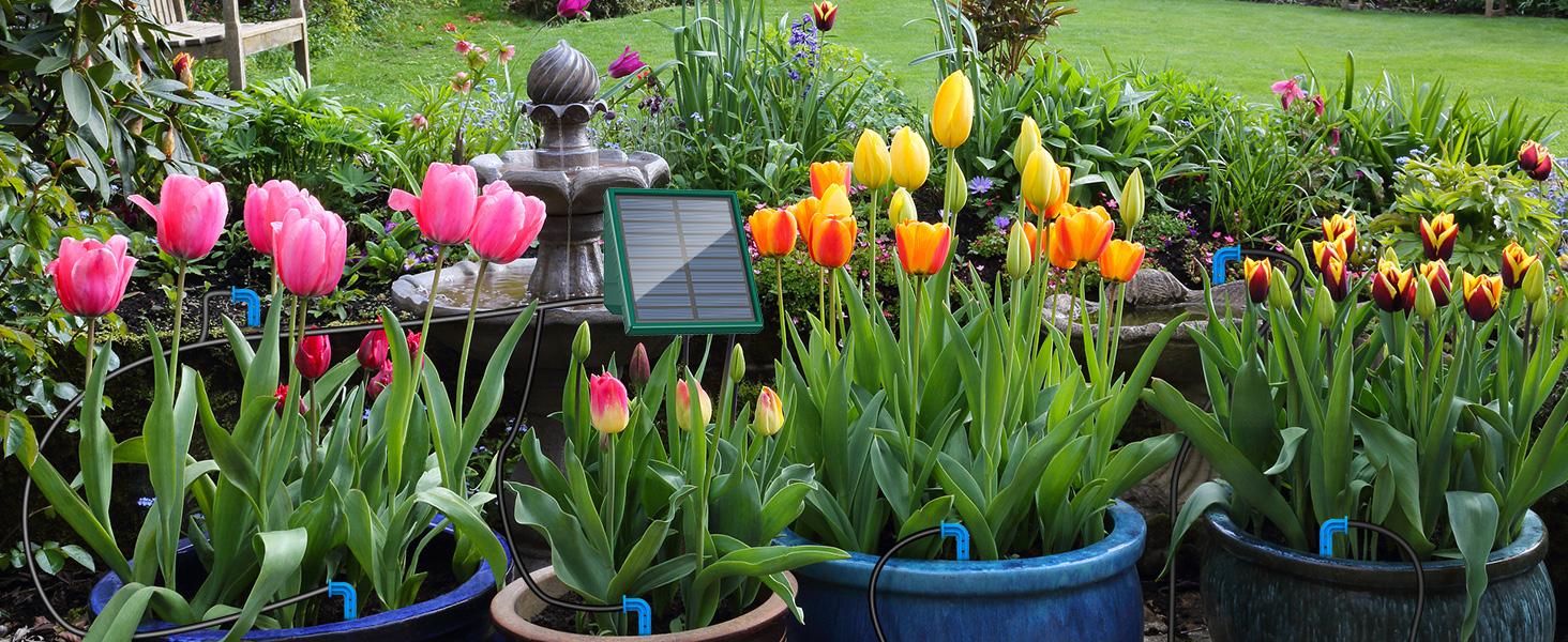 2026 Solar DIY Irrigation System Kit, 300 Watering Programs Automatic Drip Irrigation with 10M Hose & 10 Drip Tips for Indoor Outdoor Garden