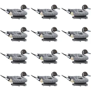 Final Approach Last Pass Floating Pintail Decoy, 12 Pack