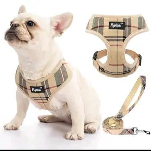 Soft Mes Dog Arness Small Sized And Leas Set Pet Puppy Cat Comt Padded Vest No Pull Arnesses Ige S